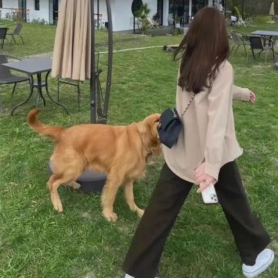 小可爱娜斯佳第二季