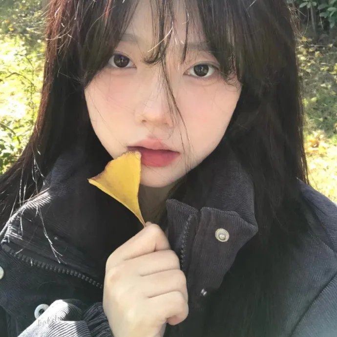 布偶也摇滚第二季