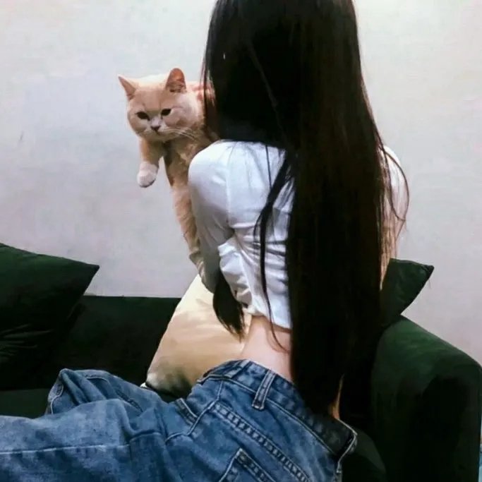 罗伯特·齐默尔曼的爱情